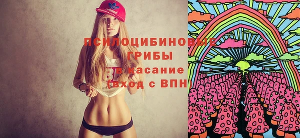 твердый Арсеньев