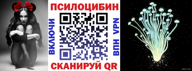 блэк спрут вход  Прохладный  Псилоцибиновые грибы GOLDEN TEACHER 
